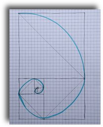 Fibonacci numbers in nature - count and find the patterns